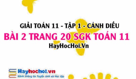 Giải bài 2 trang 20 Toán 11 tập 1 SGK Cánh Diều